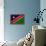 Namibia Flag Design with Wood Patterning - Flags of the World Series-Philippe Hugonnard-Framed Stretched Canvas displayed on a wall