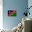 Namibia Flag Design with Wood Patterning - Flags of the World Series-Philippe Hugonnard-Premium Giclee Print displayed on a wall