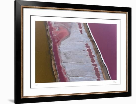 Namibia IV-Peter Adams-Framed Collectable Print