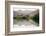 Namibia, Kaokoveld Conservation Area, Kunene River. Greenery along the banks of the Kunene River.-Ellen Goff-Framed Photographic Print