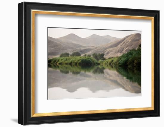 Namibia, Kaokoveld Conservation Area, Kunene River. Greenery along the banks of the Kunene River.-Ellen Goff-Framed Photographic Print