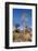 Namibia, Keetmanshoop, Quiver Tree Forest, Kokerboom.-Ellen Goff-Framed Photographic Print