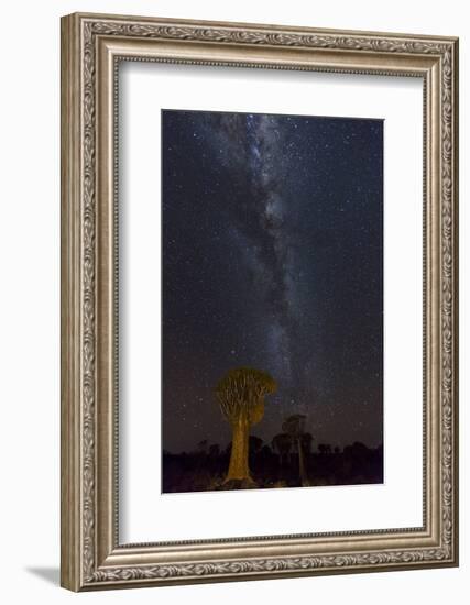 Namibia, Keetmanshoop. Quiver trees and Milky Way.-Jaynes Gallery-Framed Photographic Print