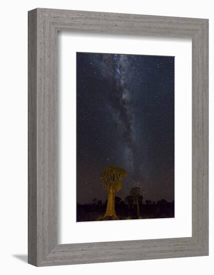 Namibia, Keetmanshoop. Quiver trees and Milky Way.-Jaynes Gallery-Framed Photographic Print