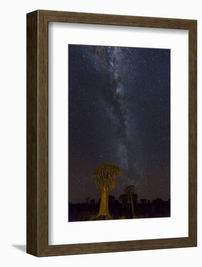 Namibia, Keetmanshoop. Quiver trees and Milky Way.-Jaynes Gallery-Framed Photographic Print