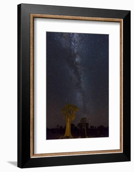 Namibia, Keetmanshoop. Quiver trees and Milky Way.-Jaynes Gallery-Framed Photographic Print