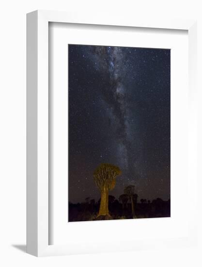 Namibia, Keetmanshoop. Quiver trees and Milky Way.-Jaynes Gallery-Framed Photographic Print