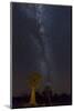 Namibia, Keetmanshoop. Quiver trees and Milky Way.-Jaynes Gallery-Mounted Photographic Print