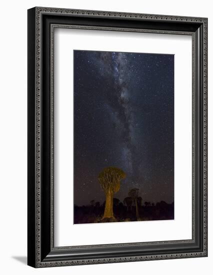 Namibia, Keetmanshoop. Quiver trees and Milky Way.-Jaynes Gallery-Framed Photographic Print