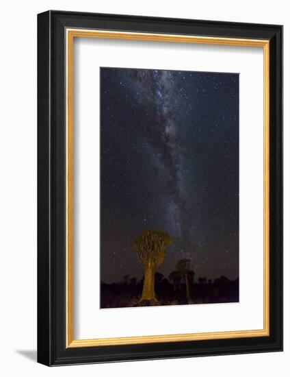 Namibia, Keetmanshoop. Quiver trees and Milky Way.-Jaynes Gallery-Framed Photographic Print