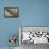 Namibia, Kolmanskop. Banister and Door Inside Abandoned House-Wendy Kaveney-Framed Premier Image Canvas displayed on a wall