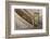 Namibia, Kolmanskop. Banister and Door Inside Abandoned House-Wendy Kaveney-Framed Photographic Print