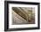 Namibia, Kolmanskop. Banister and Door Inside Abandoned House-Wendy Kaveney-Framed Photographic Print