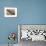 Namibia, Kolmanskop. Banister and Door Inside Abandoned House-Wendy Kaveney-Framed Photographic Print displayed on a wall