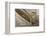 Namibia, Kolmanskop. Banister and Door Inside Abandoned House-Wendy Kaveney-Framed Photographic Print