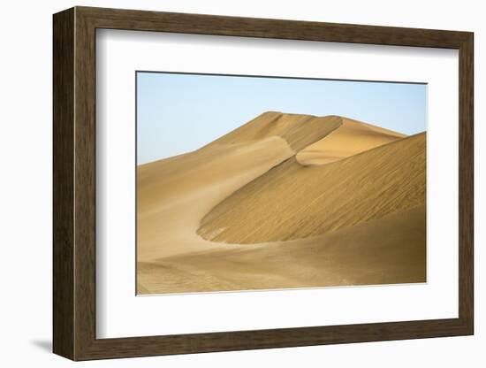 Namibia, Namib Desert. Pinwheel Pattern on Sand Dunes-Wendy Kaveney-Framed Photographic Print