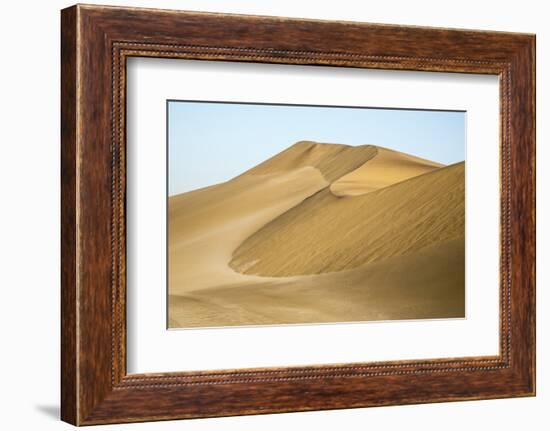 Namibia, Namib Desert. Pinwheel Pattern on Sand Dunes-Wendy Kaveney-Framed Photographic Print