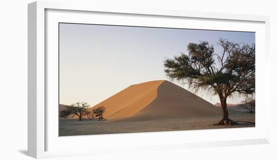 Namibia, Namib Naukluft National Park, Acacia Tree and Red Sand Dunes, Sossusvlei-Paul Souders-Framed Photographic Print