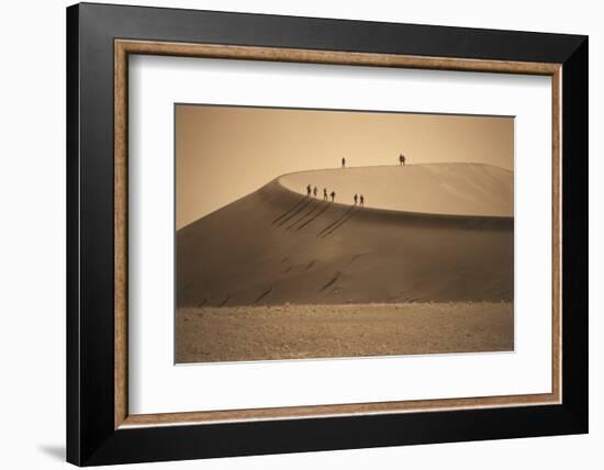 Namibia, Namib Naukluft National Park, Petrified Camel Thorn in the Namib Desert-Stuart Westmorland-Framed Photographic Print