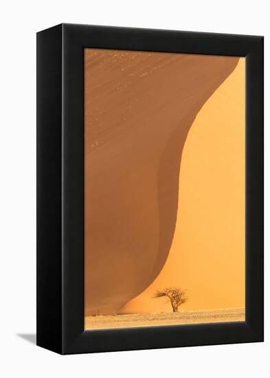 Namibia, Namib-Naukluft National Park, Sossusvlei. A dead camel thorn tree.-Ellen Goff-Framed Premier Image Canvas