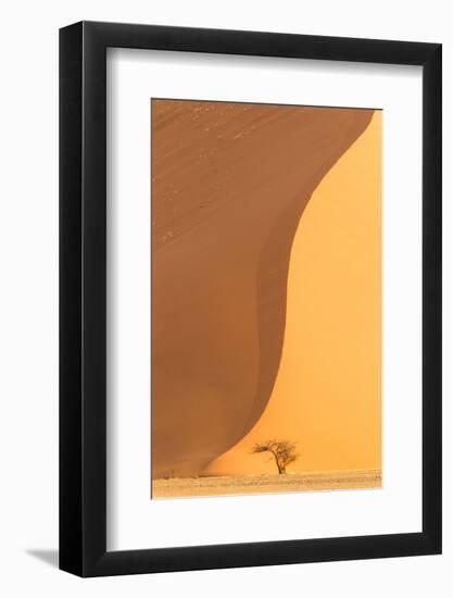 Namibia, Namib-Naukluft National Park, Sossusvlei. A dead camel thorn tree.-Ellen Goff-Framed Photographic Print