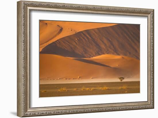 Namibia, Namib-Naukluft National Park, Sossusvlei. A dead camel thorn tree-Ellen Goff-Framed Photographic Print