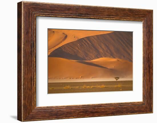 Namibia, Namib-Naukluft National Park, Sossusvlei. A dead camel thorn tree-Ellen Goff-Framed Photographic Print