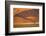 Namibia, Namib-Naukluft National Park, Sossusvlei. A dead camel thorn tree-Ellen Goff-Framed Photographic Print