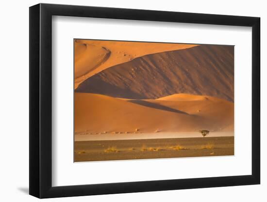 Namibia, Namib-Naukluft National Park, Sossusvlei. A dead camel thorn tree-Ellen Goff-Framed Photographic Print