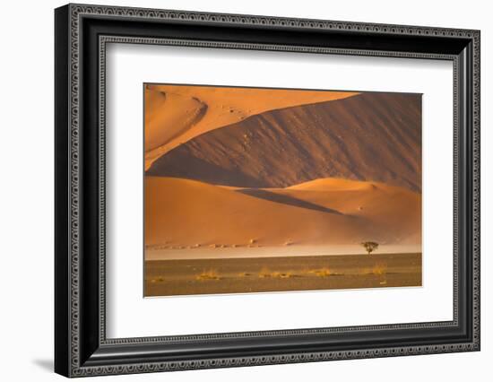 Namibia, Namib-Naukluft National Park, Sossusvlei. A dead camel thorn tree-Ellen Goff-Framed Photographic Print