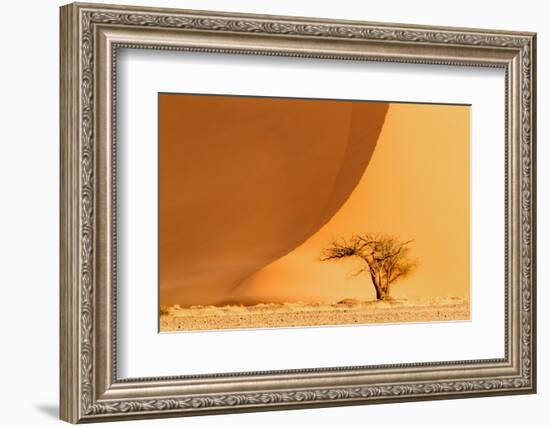 Namibia, Namib-Naukluft National Park, Sossusvlei. A dead camel thorn tree-Ellen Goff-Framed Photographic Print