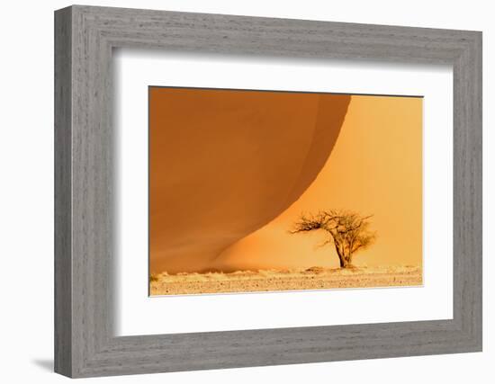 Namibia, Namib-Naukluft National Park, Sossusvlei. A dead camel thorn tree-Ellen Goff-Framed Photographic Print