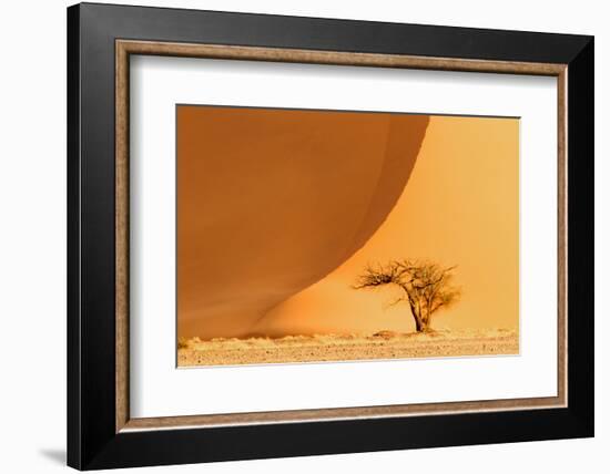 Namibia, Namib-Naukluft National Park, Sossusvlei. A dead camel thorn tree-Ellen Goff-Framed Photographic Print