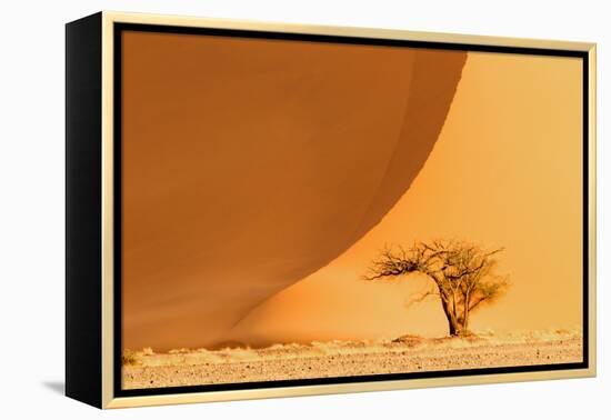 Namibia, Namib-Naukluft National Park, Sossusvlei. A dead camel thorn tree-Ellen Goff-Framed Premier Image Canvas