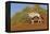 Namibia, Namib-Naukluft National Park, Sossusvlei. An Oryx standing on red sand.-Ellen Goff-Framed Premier Image Canvas