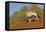 Namibia, Namib-Naukluft National Park, Sossusvlei. An Oryx standing on red sand.-Ellen Goff-Framed Premier Image Canvas