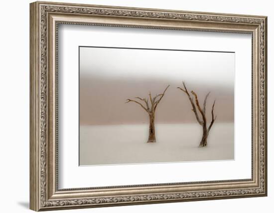 Namibia, Namib-Naukluft National Park, Sossusvlei, Dead Vlei. Ancient camel thorn trees in the fog.-Ellen Goff-Framed Photographic Print