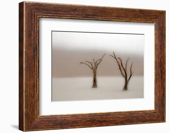 Namibia, Namib-Naukluft National Park, Sossusvlei, Dead Vlei. Ancient camel thorn trees in the fog.-Ellen Goff-Framed Photographic Print