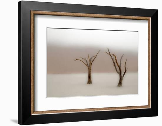 Namibia, Namib-Naukluft National Park, Sossusvlei, Dead Vlei. Ancient camel thorn trees in the fog.-Ellen Goff-Framed Photographic Print