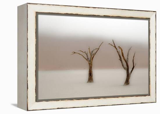 Namibia, Namib-Naukluft National Park, Sossusvlei, Dead Vlei. Ancient camel thorn trees in the fog.-Ellen Goff-Framed Premier Image Canvas