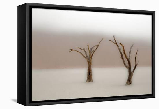 Namibia, Namib-Naukluft National Park, Sossusvlei, Dead Vlei. Ancient camel thorn trees in the fog.-Ellen Goff-Framed Premier Image Canvas