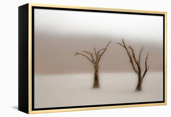 Namibia, Namib-Naukluft National Park, Sossusvlei, Dead Vlei. Ancient camel thorn trees in the fog.-Ellen Goff-Framed Premier Image Canvas