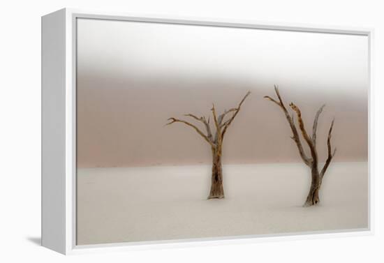 Namibia, Namib-Naukluft National Park, Sossusvlei, Dead Vlei. Ancient camel thorn trees in the fog.-Ellen Goff-Framed Premier Image Canvas