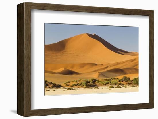 Namibia, Namib-Naukluft National Park, Sossusvlei. Large red dune rising from a while pan.-Ellen Goff-Framed Photographic Print