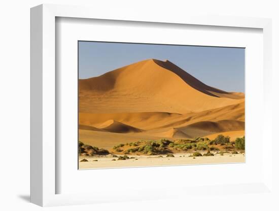 Namibia, Namib-Naukluft National Park, Sossusvlei. Large red dune rising from a while pan.-Ellen Goff-Framed Photographic Print