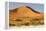 Namibia, Namib-Naukluft National Park, Sossusvlei. Large red dune rising from a while pan.-Ellen Goff-Framed Premier Image Canvas