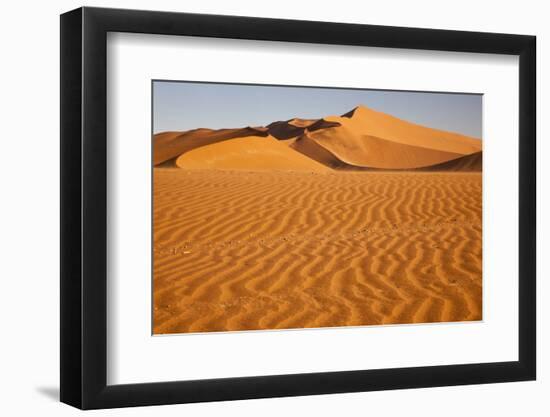 Namibia, Namib-Naukluft National Park, Sossusvlei. Scenic red dunes with wind driven patterns.-Ellen Goff-Framed Photographic Print