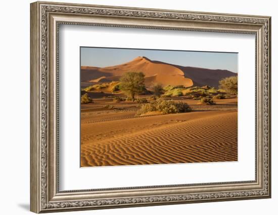 Namibia, Namib-Naukluft National Park, Sossusvlei. Scenic red dunes.-Ellen Goff-Framed Photographic Print