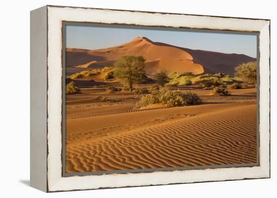 Namibia, Namib-Naukluft National Park, Sossusvlei. Scenic red dunes.-Ellen Goff-Framed Premier Image Canvas