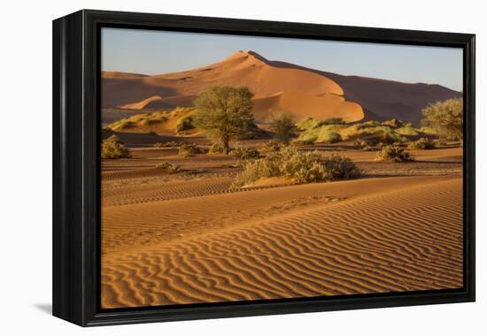 Namibia, Namib-Naukluft National Park, Sossusvlei. Scenic red dunes.-Ellen Goff-Framed Premier Image Canvas